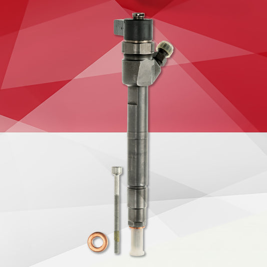 Wtryskiwacz Bosch 0445110025 – Mercedes-Benz C200 CDI 2.2 CDI – A6110700687